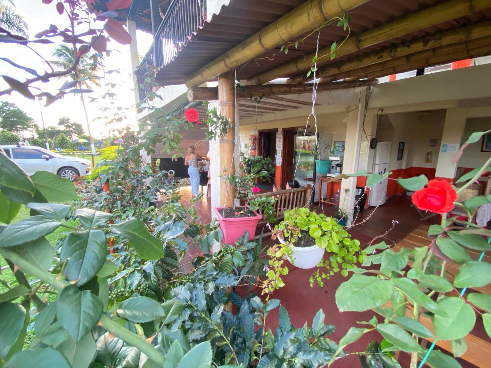 מונטנגרו Finca Hotel Los Cocos מראה חיצוני תמונה